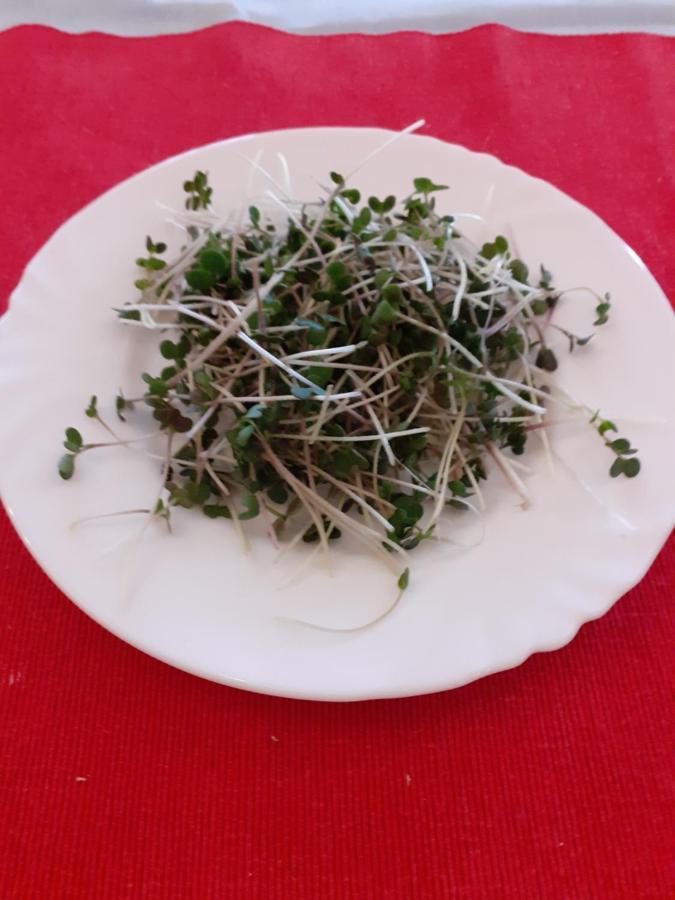Pension Akropolis, Eco Breakfasts From Farm Marianske Lazne Exterior photo